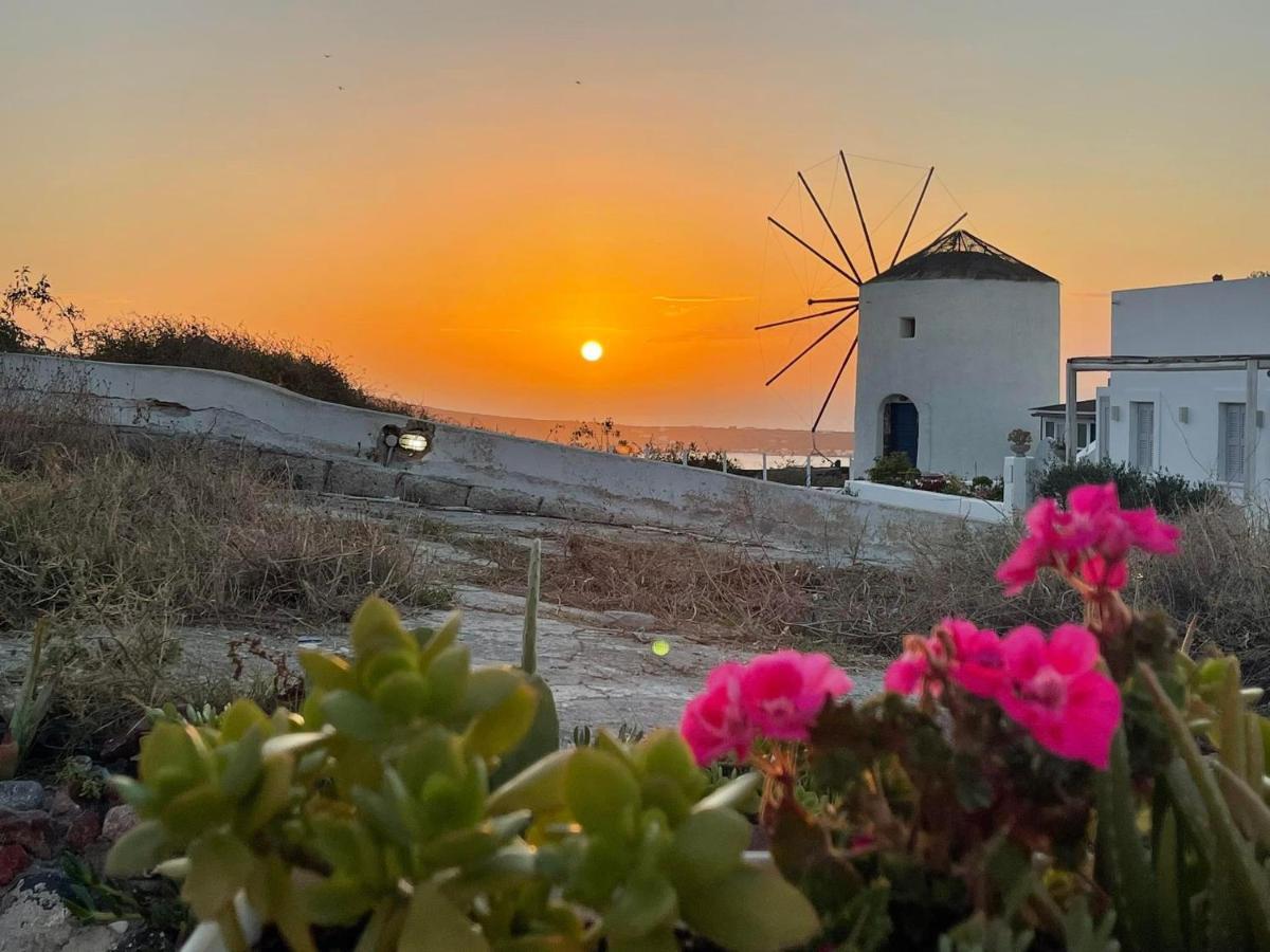 Sunset Queen In Oia * Oia (Santorini)