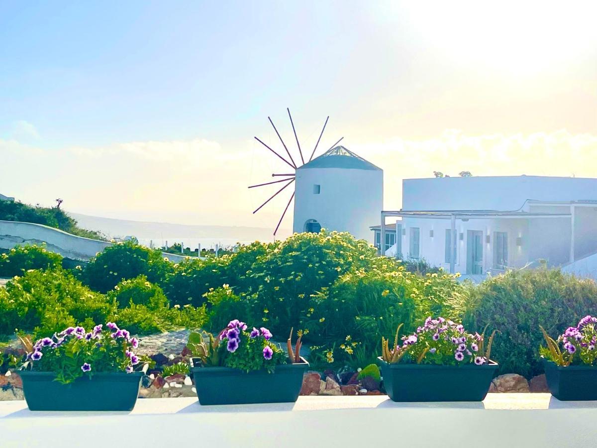 Sunset Queen In Oia Oia (Santorini)